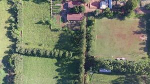 School of Forestry