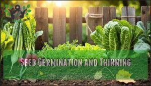 seed germination and thinning