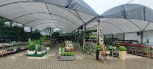 Sempre Verde Garden Center