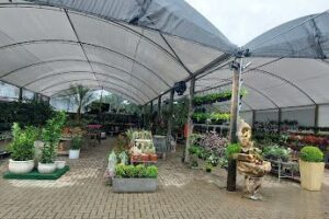 Sempre Verde Garden Center