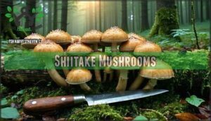 shiitake mushrooms