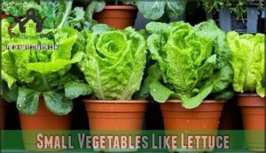 small vegetables like lettuce