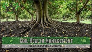 soil health management