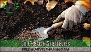 soil health strategies