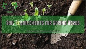soil requirements for spring herbs