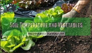 soil temperature and vegetables