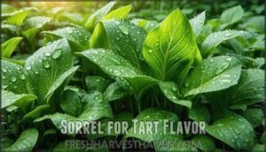 sorrel for tart flavor
