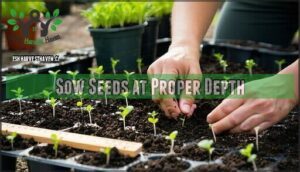sow seeds at proper depth