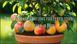 special considerations for fertilizing fruit trees in pots