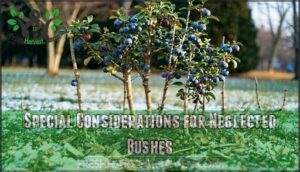 special considerations for neglected bushes