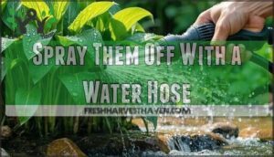 spray them off with a water hose