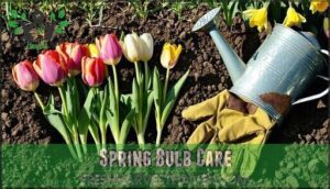 spring bulb care