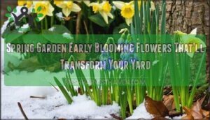 spring garden early blooming flowers