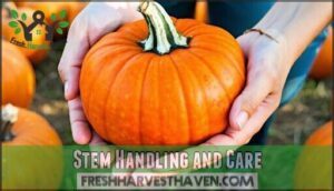 stem handling and care