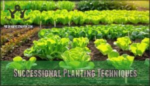 successional planting techniques