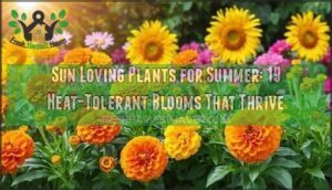 sun loving plants for summer
