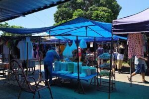 Sunday Free City Fair