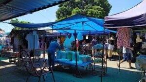 Sunday Free City Fair