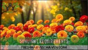 sunlight requirements