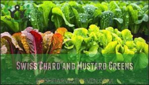 swiss chard and mustard greens