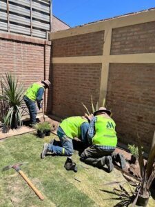 Three men in yellow vests are working together to plant a tree in a yard.