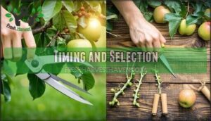 timing and selection