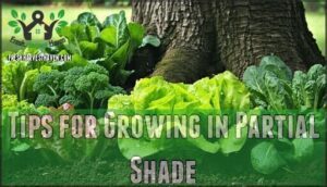tips for growing in partial shade