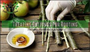 treating cuttings for rooting