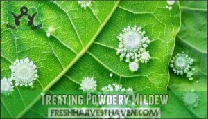 treating powdery mildew