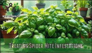 treating spider mite infestations