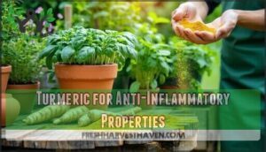 turmeric for anti-inflammatory properties