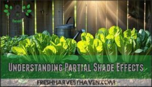 understanding partial shade effects