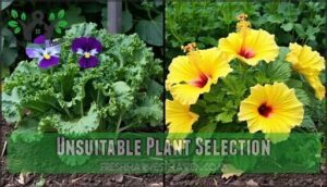 unsuitable plant selection