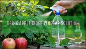 using apple cider vinegar solution