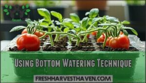 using bottom watering technique