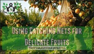 using catching nets for delicate fruits