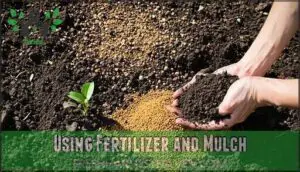 using fertilizer and mulch