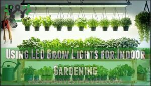 using led grow lights for indoor gardening