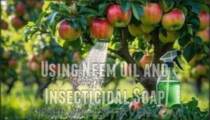 using neem oil and insecticidal soap