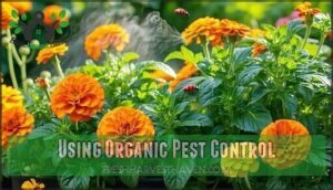 using organic pest control