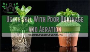 using soil with poor drainage and aeration
