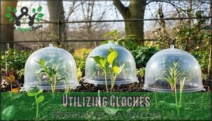 utilizing cloches