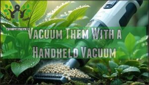vacuum them with a handheld vacuum