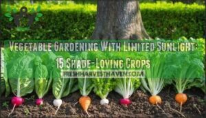 vegetable gardening with limited sunlight