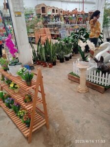 Vegeter Comércio de Produtos para Jardins