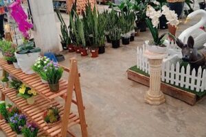Vegeter Comércio de Produtos para Jardins