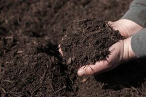Verdor - Insumos para huerta orgánica