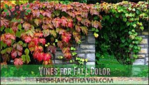 vines for fall color