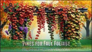 vines for fall foliage