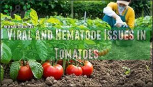 viral and nematode issues in tomatoes